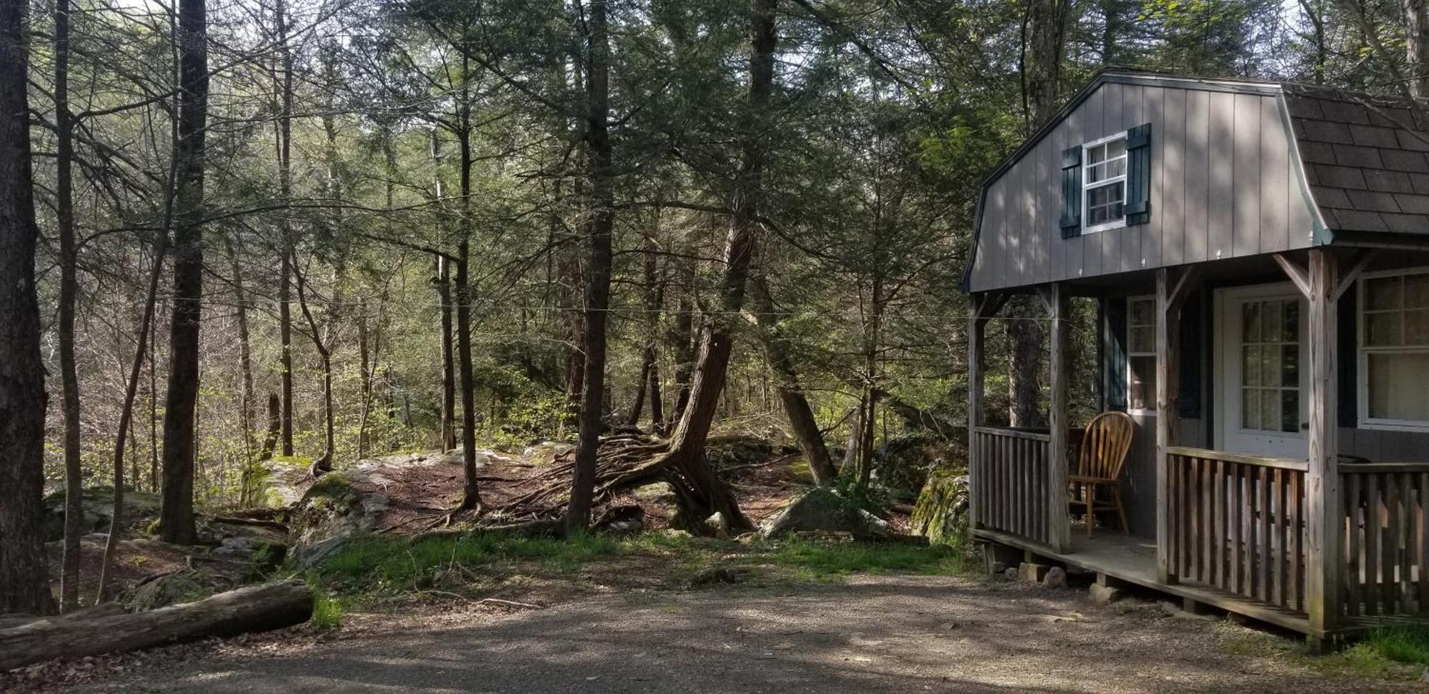 Abrams Creek Campground Mount Storm Exterior photo