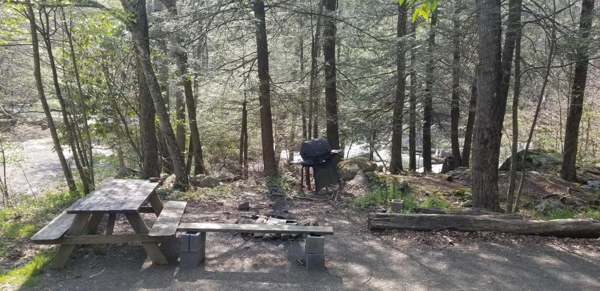 Abrams Creek Campground Mount Storm Exterior photo