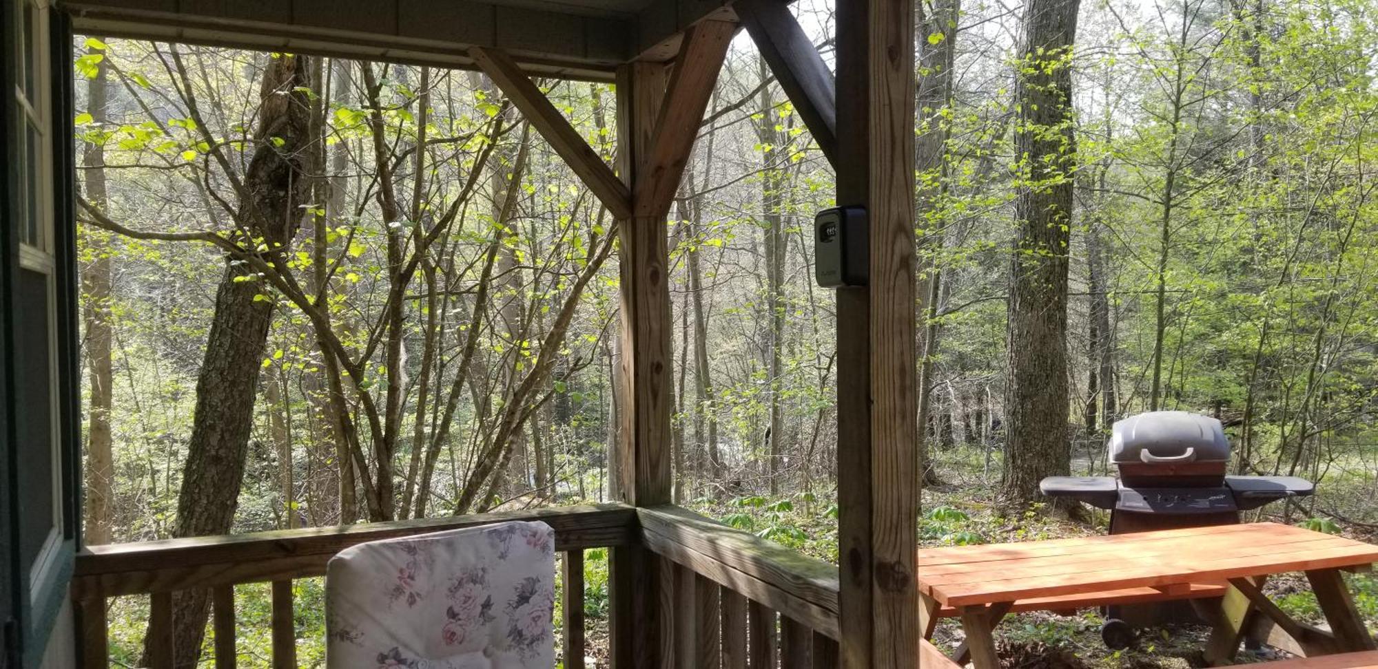 Abrams Creek Campground Mount Storm Exterior photo