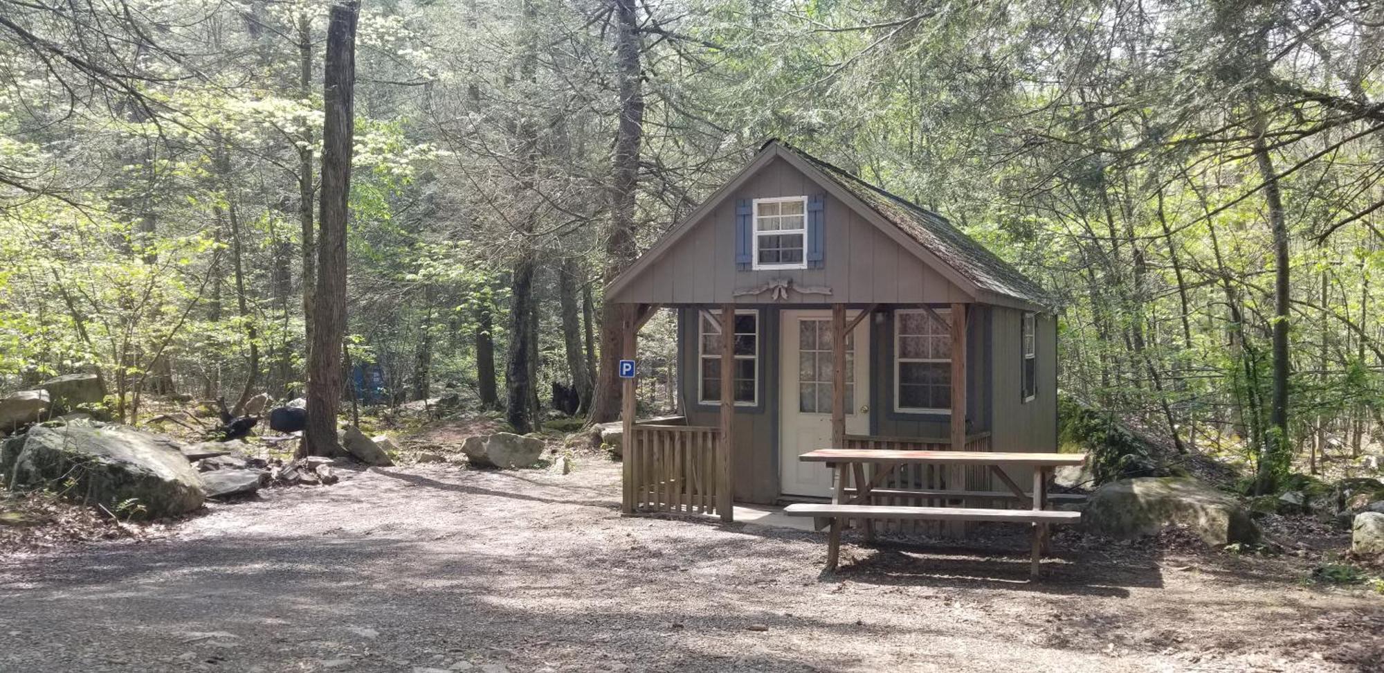 Abrams Creek Campground Mount Storm Exterior photo