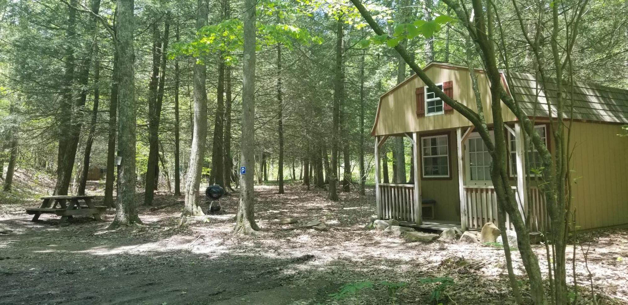 Abrams Creek Campground Mount Storm Exterior photo