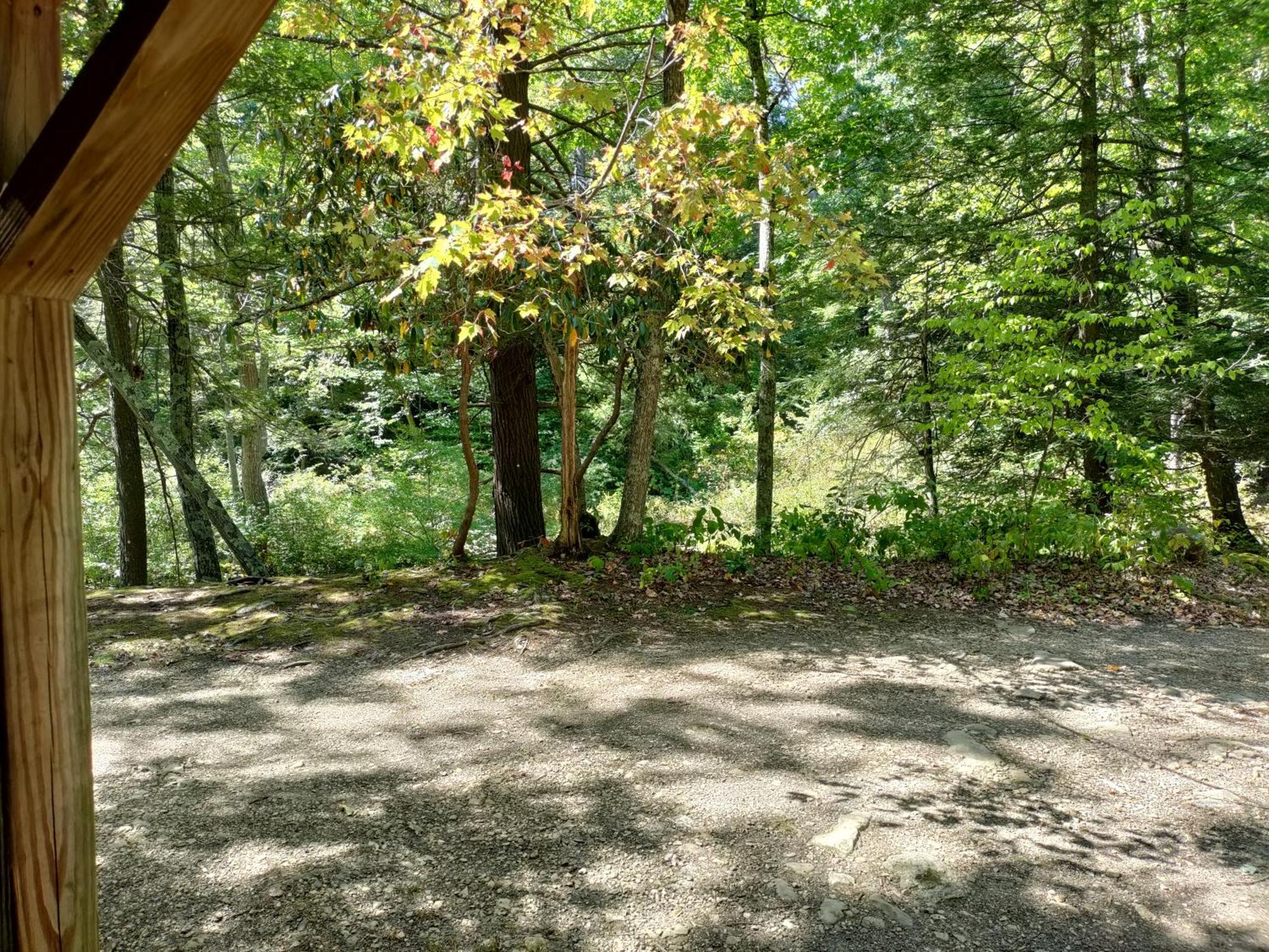Abrams Creek Campground Mount Storm Exterior photo