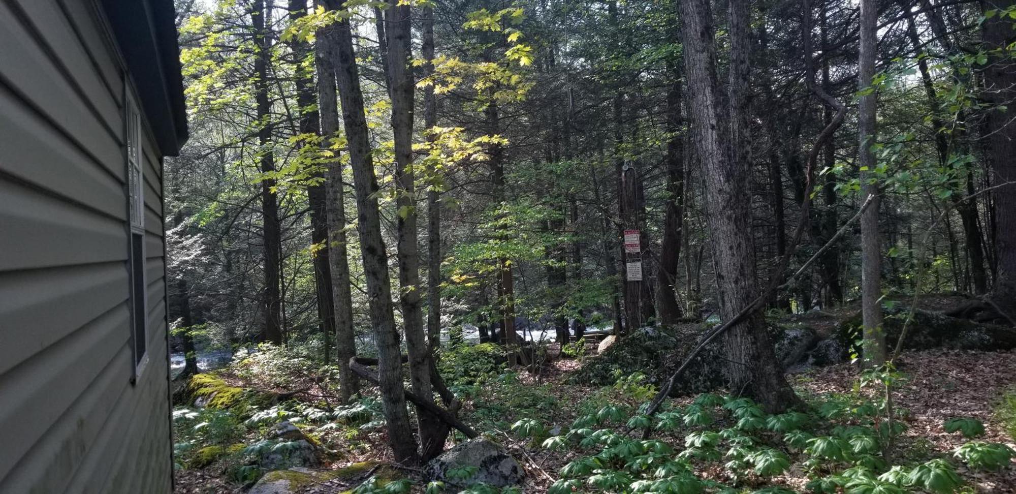 Abrams Creek Campground Mount Storm Exterior photo