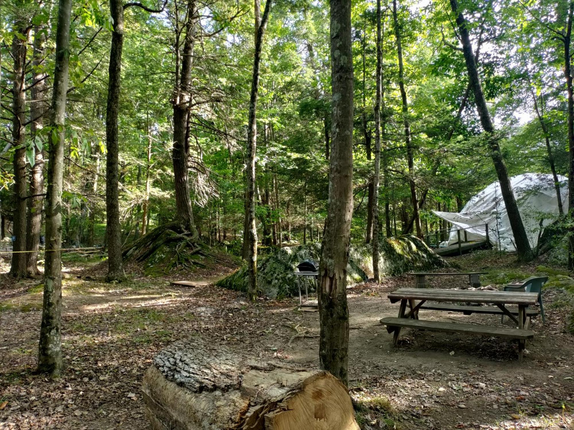 Abrams Creek Campground Mount Storm Exterior photo